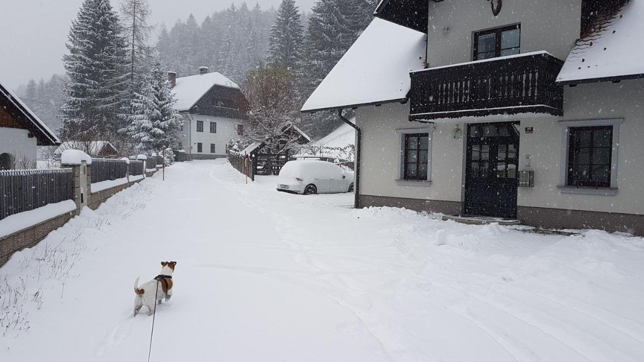 Apartman Irvin Kranjska Gora Exterior foto
