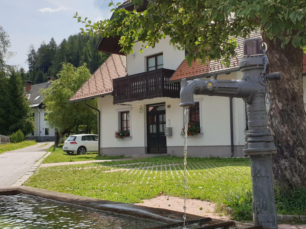 Apartman Irvin Kranjska Gora Exterior foto